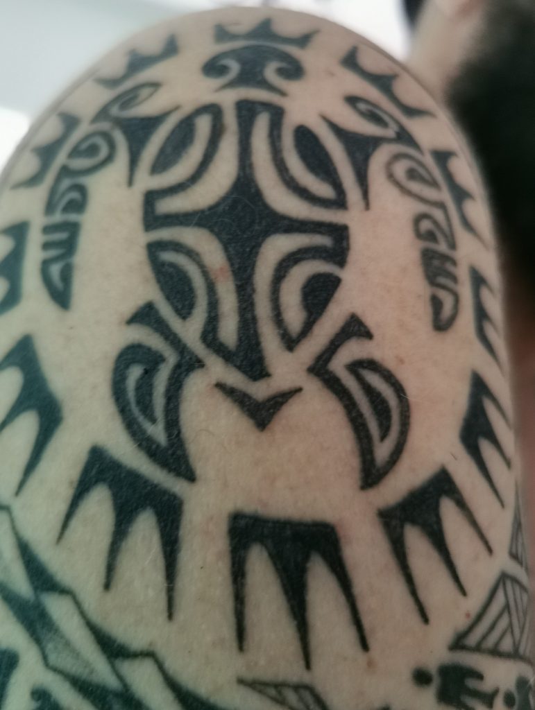Tartaruga (Maori) - Tattoo