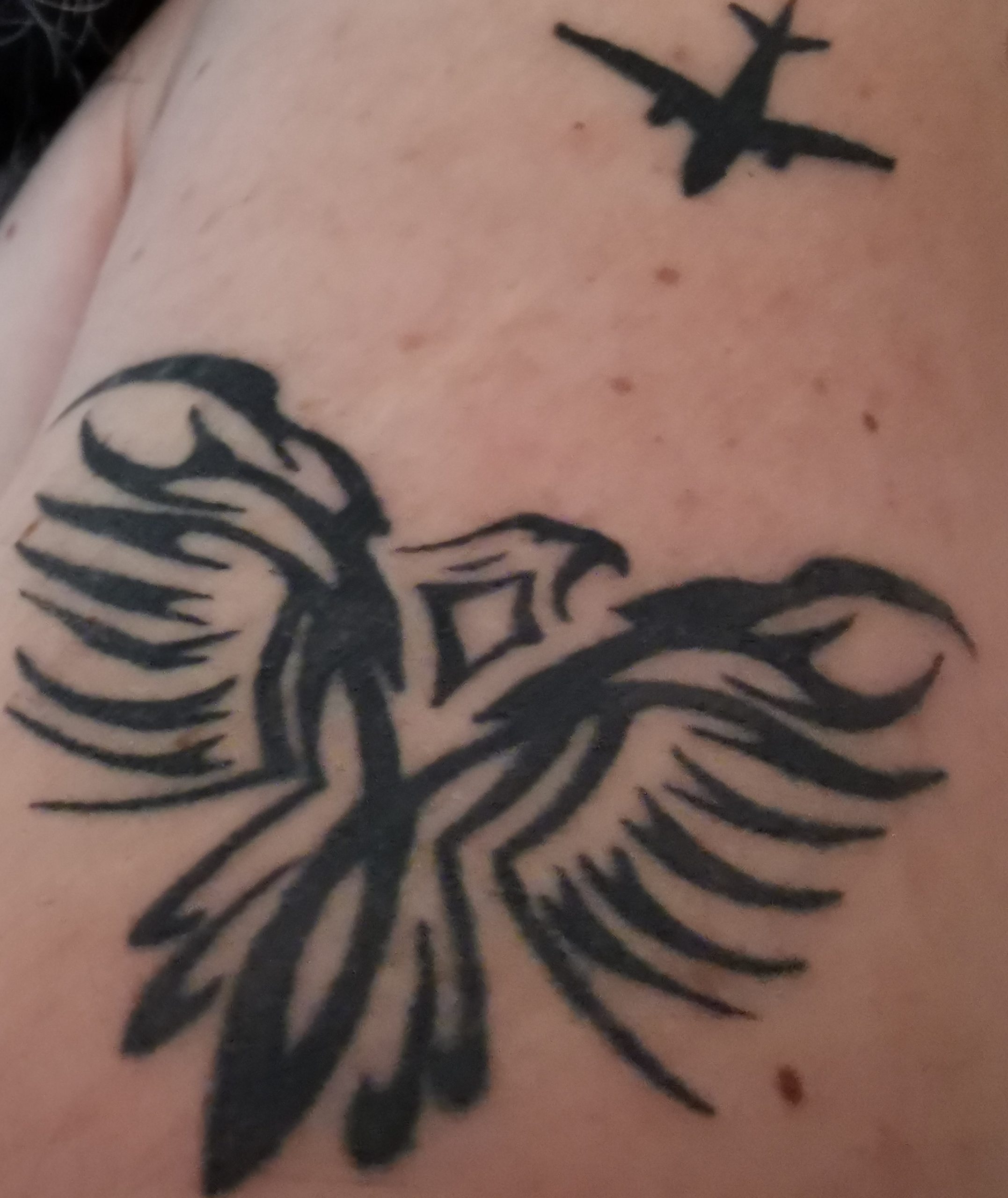 Aquila - Tattoo