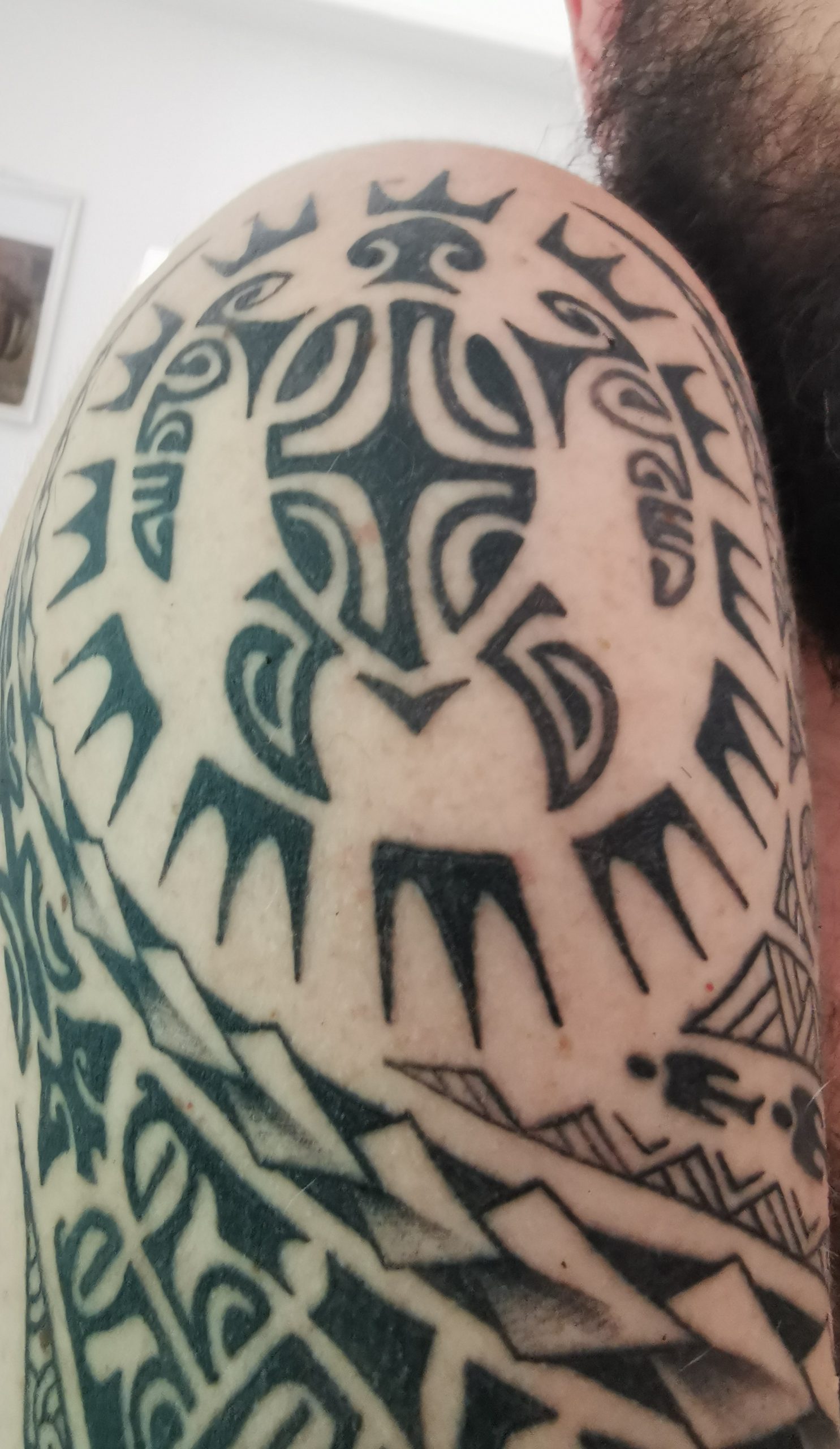 Tartaruga (Maori) - Tattoo